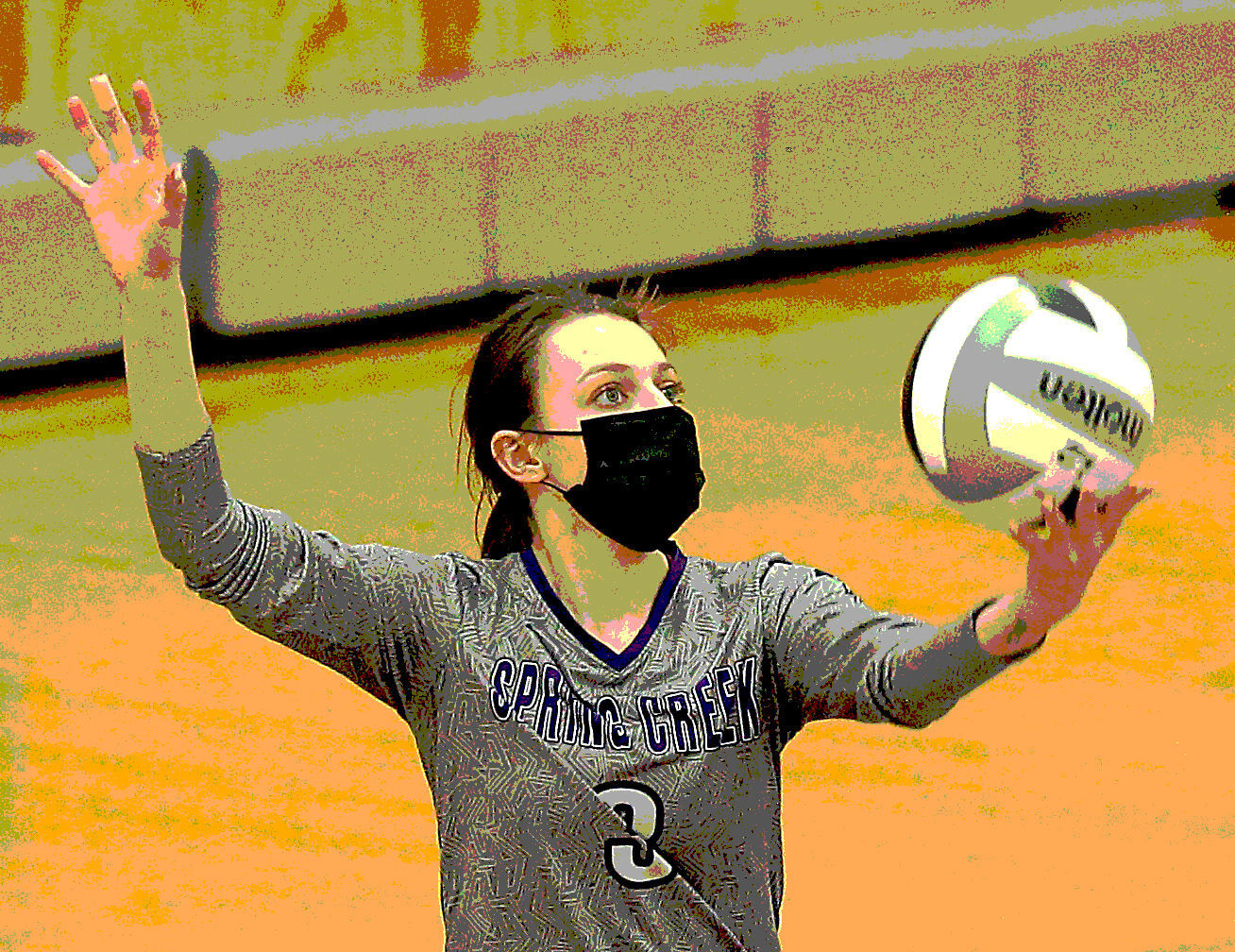 Fallon at Spring Creek Volleyball 48.jpg